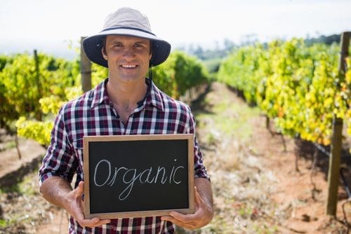 Organic winemaker photo for online festival post
