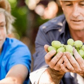 Experts in craft beverage marketing