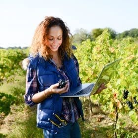 Online festival participation