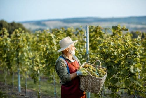 Winemaker photo for building awareness post