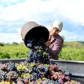 Will Collaboration Drive Traffic to your Tasting Room?